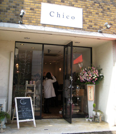 Chico-01.jpg