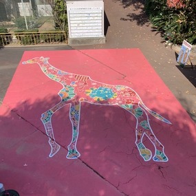 池田動物園に巨大なキリンの地上絵を描きました！